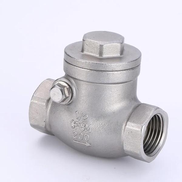 Stainless Steel Swing Check Valve PN16
