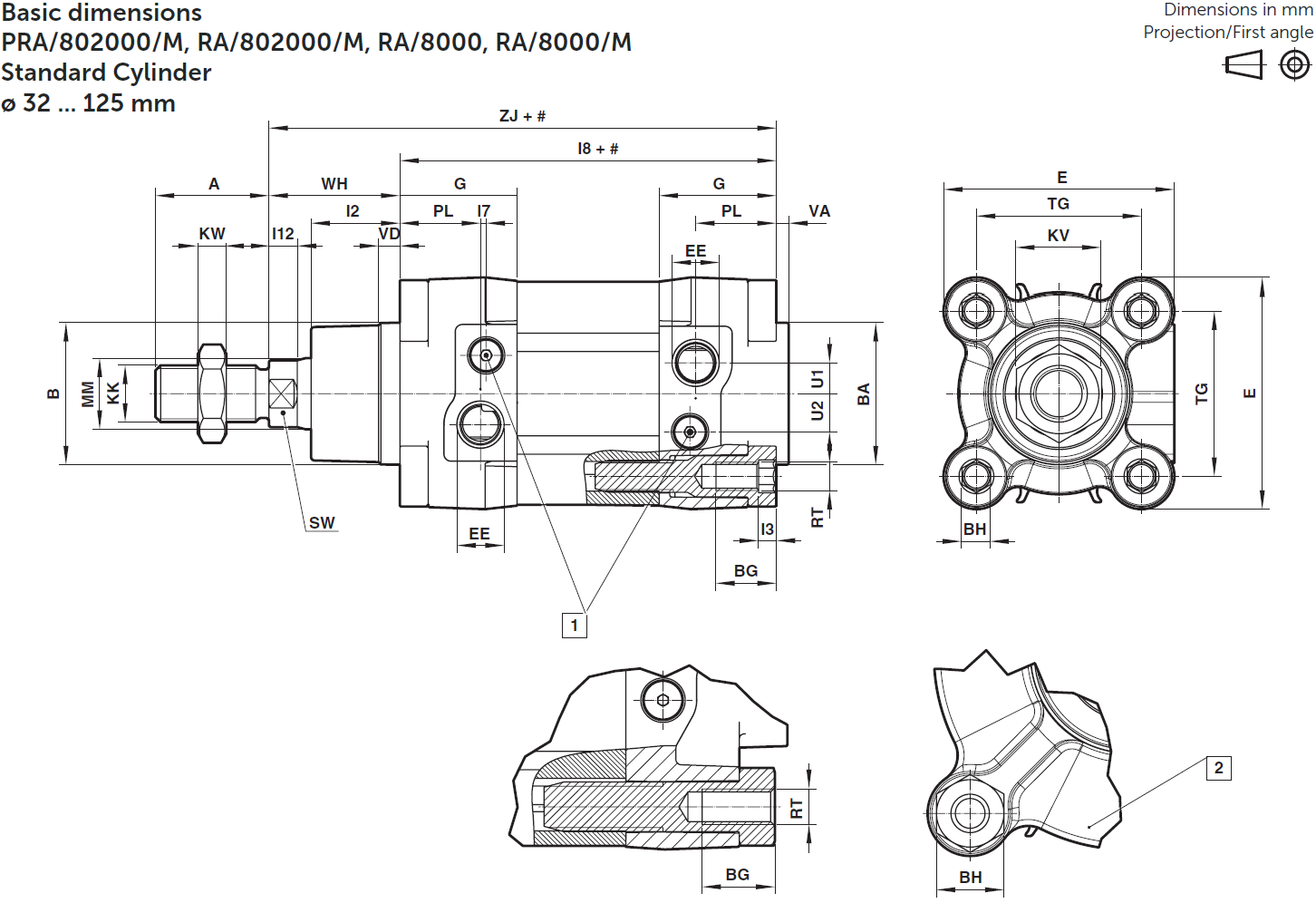 IMI Norgren RA/8032/M/25 RA/8032/M/50 RA/8032/M/80 RA/8032/M/100 Double-Acting Cylinder