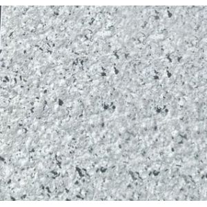 Exterior Wall Paint All-Weather Resistant  Anti-Fade  Coating for Extreme Climate Protection