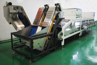 Grande canal da máquina de classificação 8 da data do rendimento 50Hz 7.5KW para o alimento