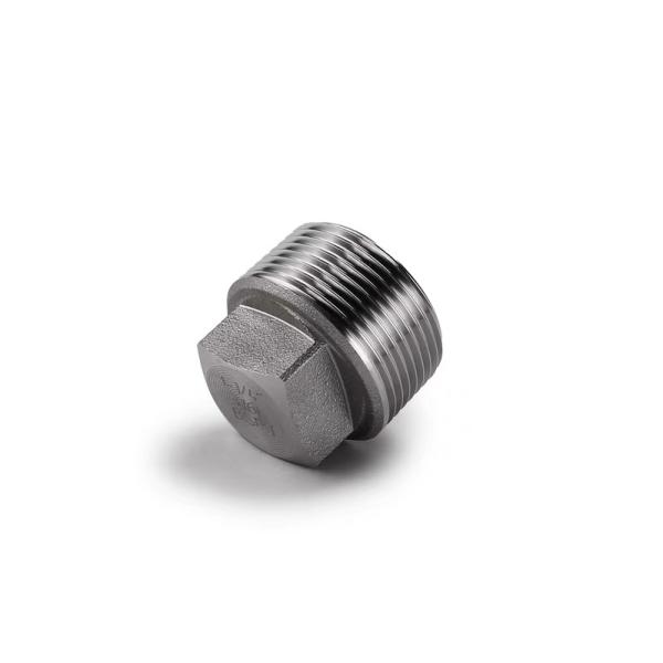 Silver Coated WZ Stainless Steel 304 316 316L High Pressure Forged Square Plug NPT BSPT