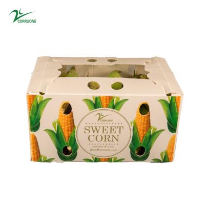 1.5mm-30mm PP Corrugated Plastic Packaging Boxes White Green Blue