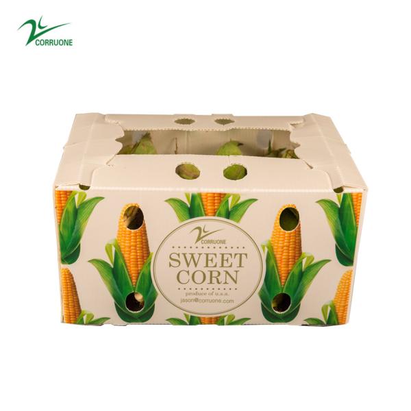 PP пластиковый ящик для хранения PP гофрированный пластиковый ящик для овощей, фруктов и сельского хозяйства