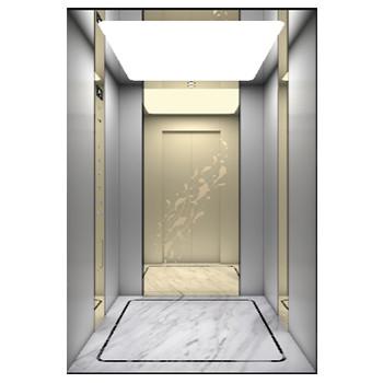 O tipo pequeno casa de campo da tração do monarca da casa levanta o elevador de construção privado de aço inoxidável