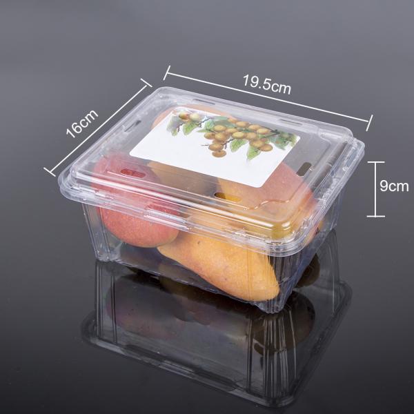 Clear 19.5*16*9cm Disposable Plastic Fruit Containers