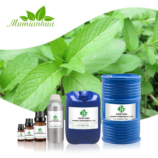 extraction de l'huile essentielle de menthe poivrée de 10ml 100% d'huile de
