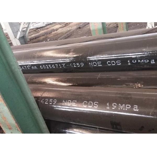 Heat Exchanger Alloy Seamless Pipe ASTM A213 T5 Tube For High Temperature Service