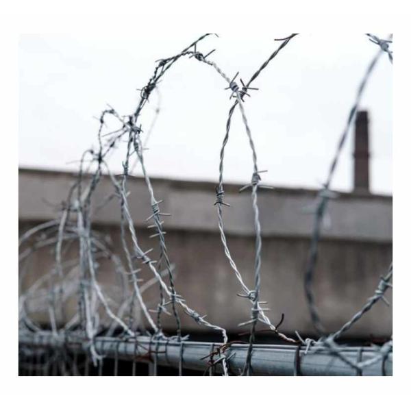 Wholesale Low Cost Electro Galvanised Steel Barbed Wire For Household