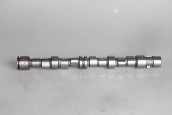 Professional Car Engine Camshaft OPEL OEM 24548 636041 for Z16SE / X16SZR
