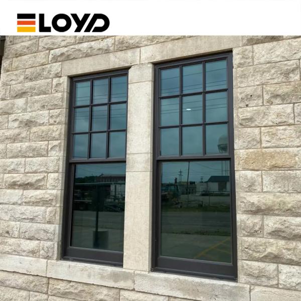 Double Single Hung Window with Slim Aluminium Frame and Tempered Glass