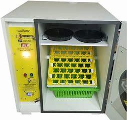 Ovos automáticos da incubadora 672 modo inteligente enorme do pombo do multi