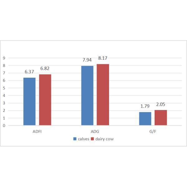 DDC Citrus Flavor Essential Oil Boosting Palatability And Nutrition Intake In Animal Feed