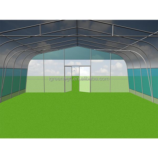 Durable Poly Small Agricultural Greenhouse Tunnel Roses Professional Flower Growing UV-Resistant PE Film Cover Ventilation