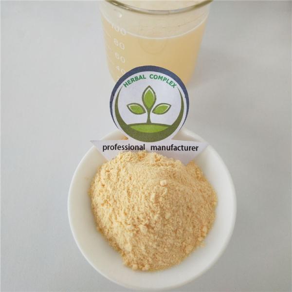 honeydew melon powder  buy powdered musk melon  best health benefits mixed drinks supplement bulk bubble tea powder