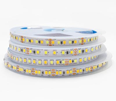 CCT Double Color Adjustable Color Temperature LED Strip 180LEDs/M For Decorative Lighting