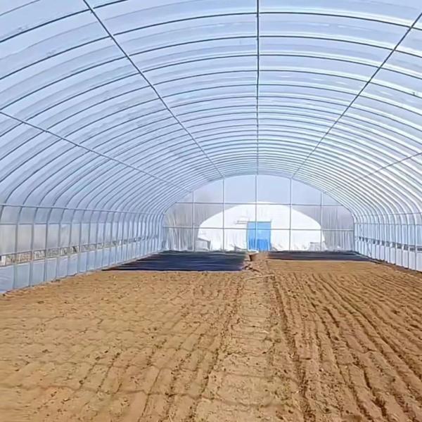 Steel Structure Single Tunnel Film Greenhouse for Flower Planting Package Weight 20.000kg