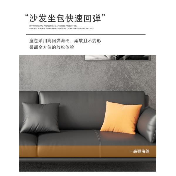 Light Luxury Living Room and Office Sofa Bed Customized Italian Style with Wood Frame