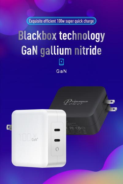 100W Dual USB-C Wall Charger with US Plug for Laptop and Phone