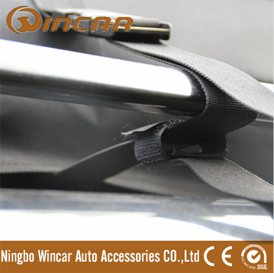 Waterproof Car Roof Storage Cargo Bag