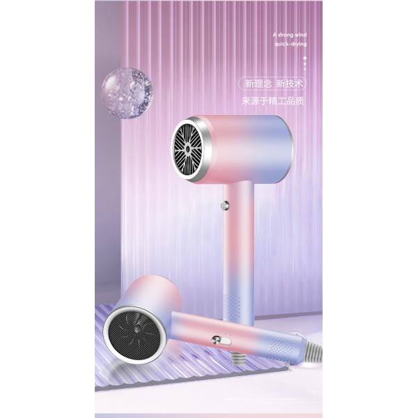 Advanced Blue Light Ion Technology Net Red Hair Dryer with High Power and Hot/Cold Air