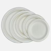 7 pouces de pâte ronde biodégradable ustensiles jetables plaques congélateur