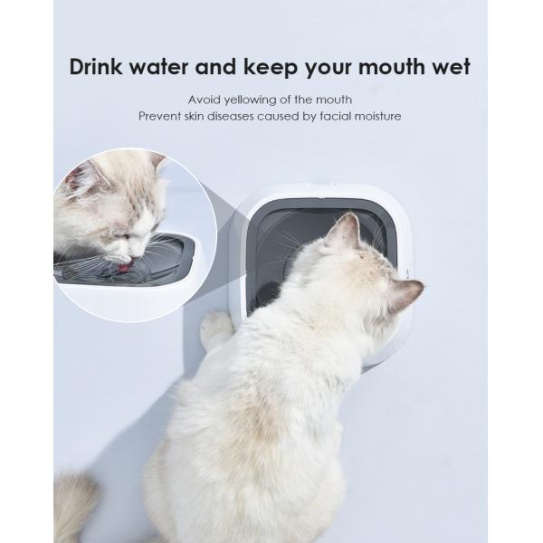 Hair Bowl Floating Water Dog Cat Bowl  Plastic Splash-proof Wet Mouth for Other Pets