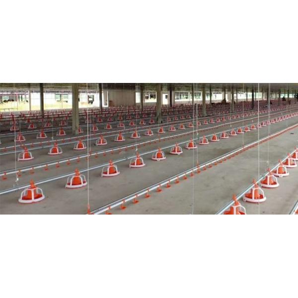 Птица системы цепи автомата питания бройлера питаясь