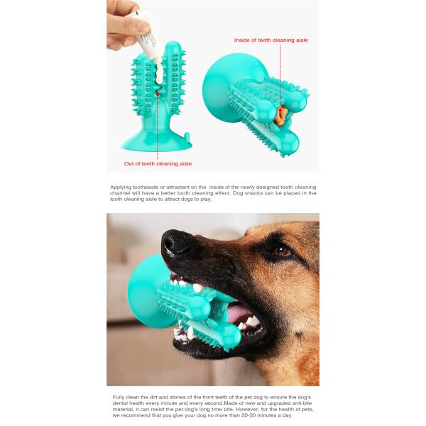 High Quality Dog Chew Toys Cactus Shape Dog Toothbrush Pet Suction Cup Toys For Pet