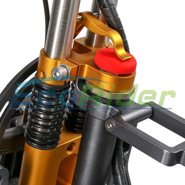 New Design Foldable Electric Scooter Three Wheels 48V 250W Folding Electric Bike