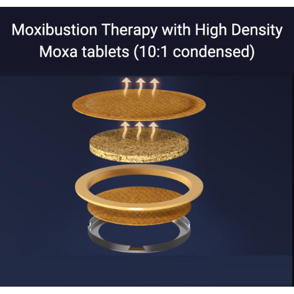 Artificial Planting Cultivation Method Five Pieces of Moxibustion Tablets for Health