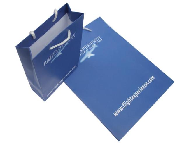 Service d'impression écologique réutilisé fait sur commande de sac de transporteur de papier bleu avec la corde en nylon