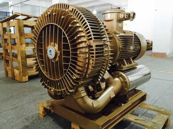 30kw Explosion Proof Vacuum Pump Blower With Nanyang Frequency Changed Atex Motor