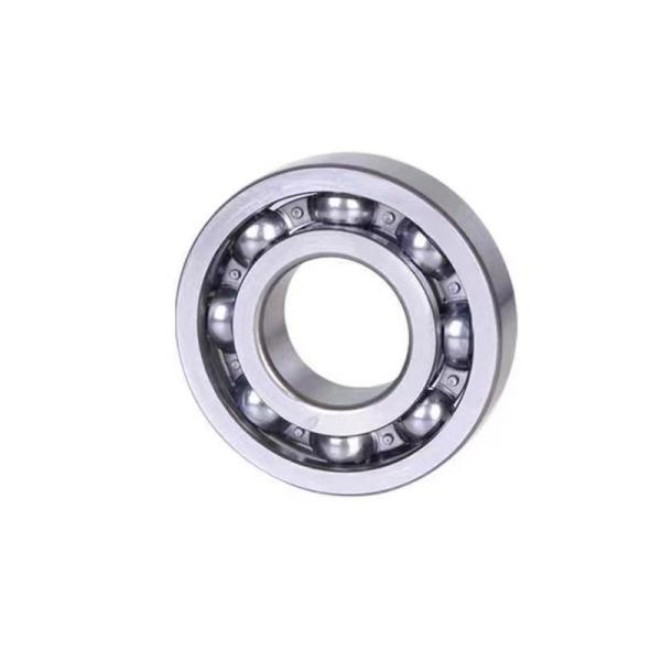 PTFE Cage Japan Deep Groove Ball Bearing Catalog for Bore Size 1-2mm 6205 2Rs Original