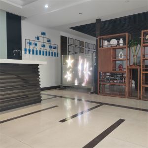 Полноцветный супертонкий внутренний наружный шторный стеклянный дисплей P10-P50 прозрачный гибкий светодиодный пленка