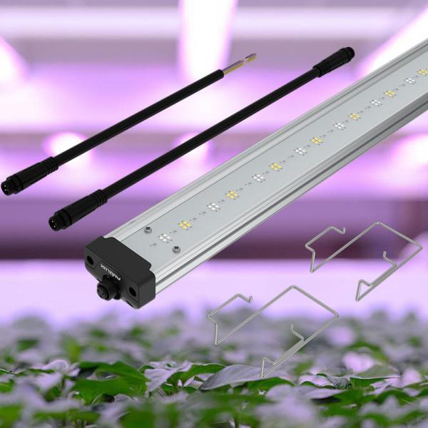 Samsung Beads Cucumber T8 Grow Light Tubes Waterproof 60w Led Grow Light