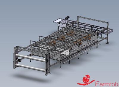 Practical / Automatic Poultry Battery Cage System 2 Tiers Animal Friendly Cage-Free-H