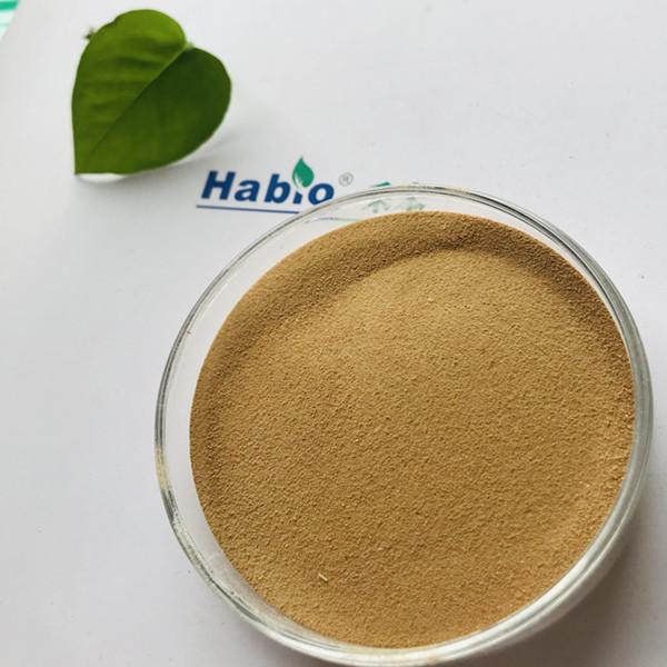 High Purity 50,000u/g Amylase For Industry Of Feed, Alcohol, Beer, Vinegar, Soy Sauce