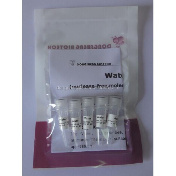 5ml Free Nuclease Water Molecular Biology Grade P9021