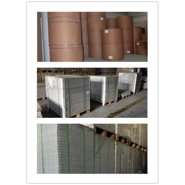 Strong and Folding Resistance Whiteboard Paper One Side Offset Paper with Grey Back