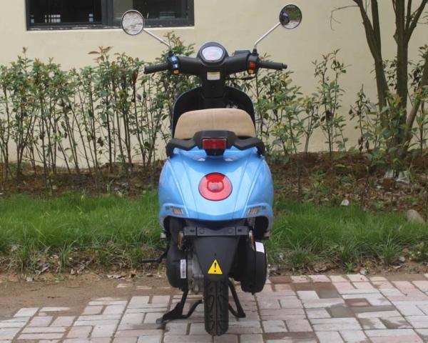 trotinette dianteiro CVT do gás do cilindro 8.4hp 150cc da parte traseira do disco sem tronco