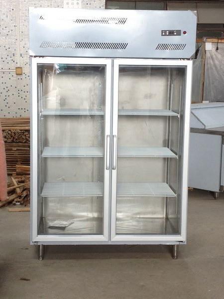 Congelador ereto comercial de grande eficacia com o 1 refrigerador da porta/cozinha