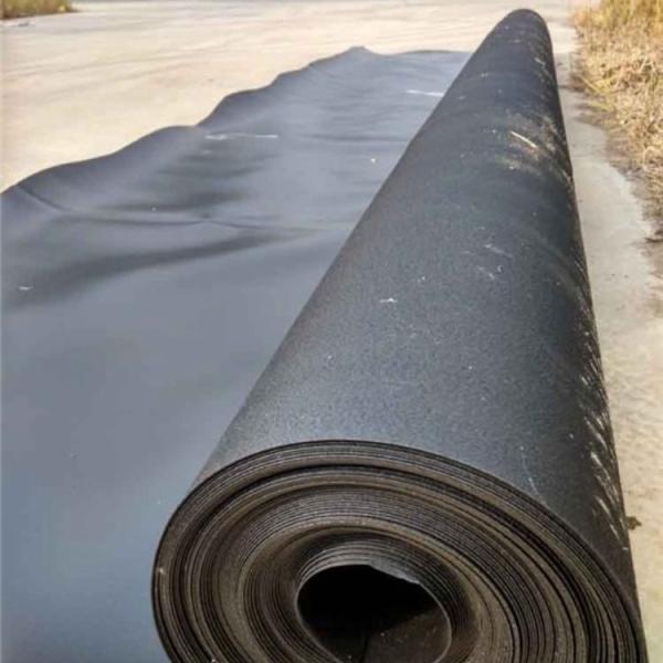 Fornecimento direto de revestimento de lagoa de peixes de geomembrana de HDPE para aterros sanitários e lagoas de peixes