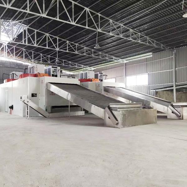 Dessiccateur Mesh Belt Dryer de particules d'acier inoxydable de dessiccateur de