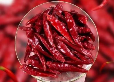 Chaotian secou pimentões vermelhos inteiros Tianjin Chili Dehydrated dos pimentões vermelhos