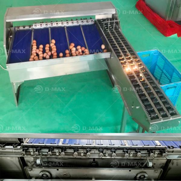 200W Automatic Egg Weight Sorting Machine for Small Scale Chicken Egg Classification