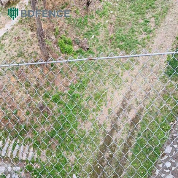 Nature Reserve Chain Link Fence Wildlife