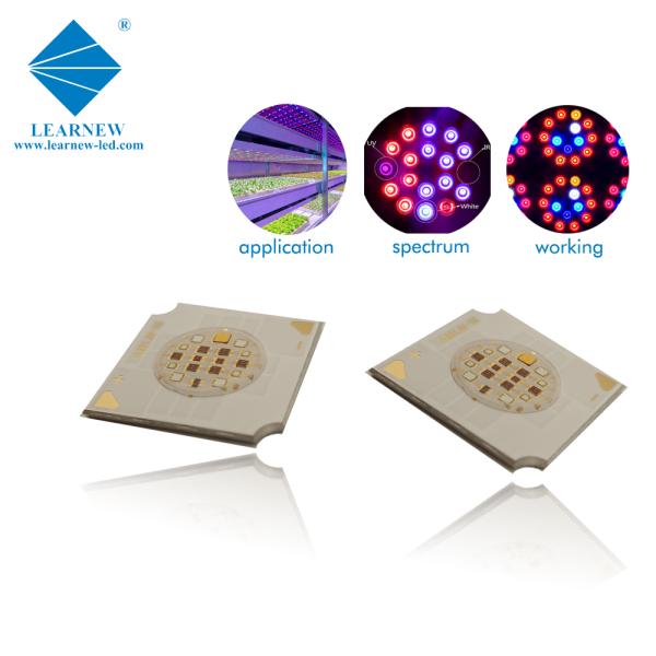 Full Spectrum 9w-18w LED COB Chip 1414 1919 Suitable For Plant GROW