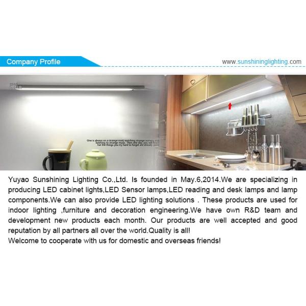 12V LED Cabinet Light with Glass Recessed Shelf Eye Light and Long-lasting Performance