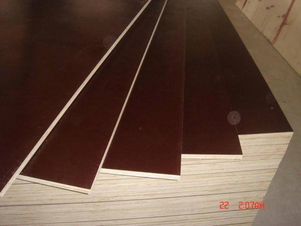 12mm / 15mm / 18mm thickness Film Faced  Plywood