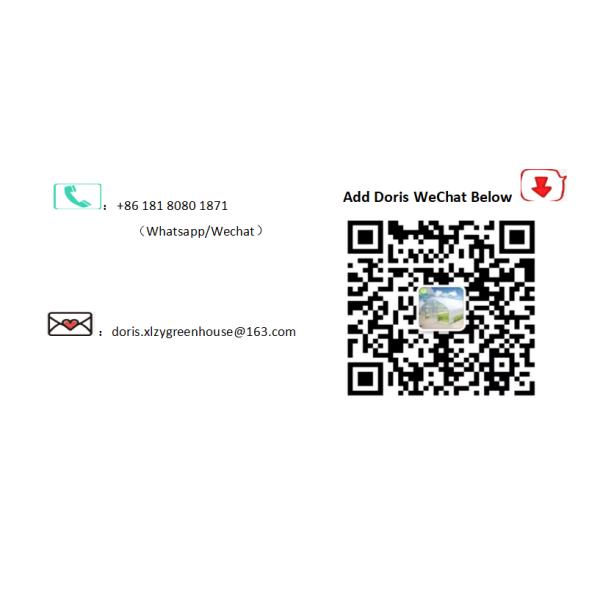 PE Plastic Film Poly Tunnel Greenhouse Single Span For Tomato Vegetable Flower